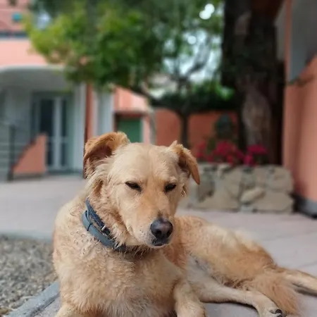 アパート Casa Aroma Lavanda, Pet Friendly サン・バルトロメーオ・アル・マーレ